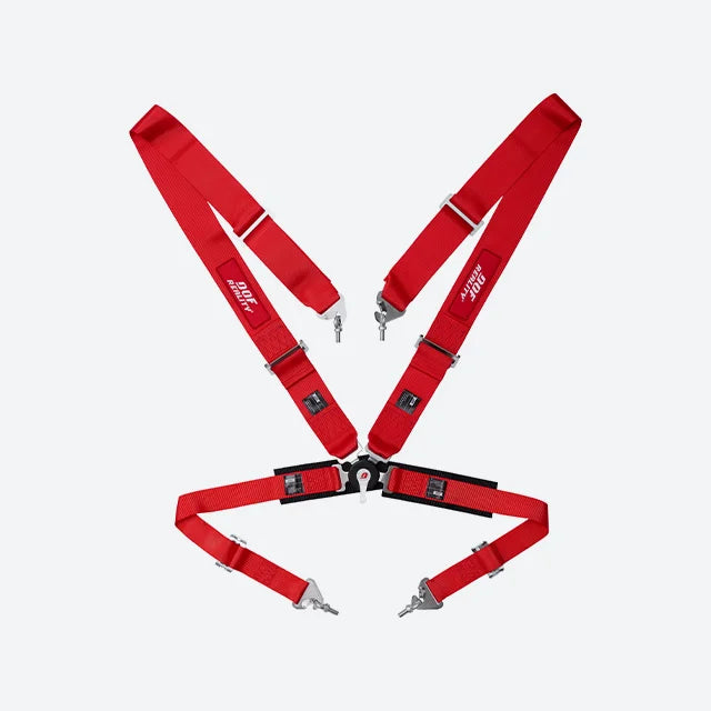 4-Point harness